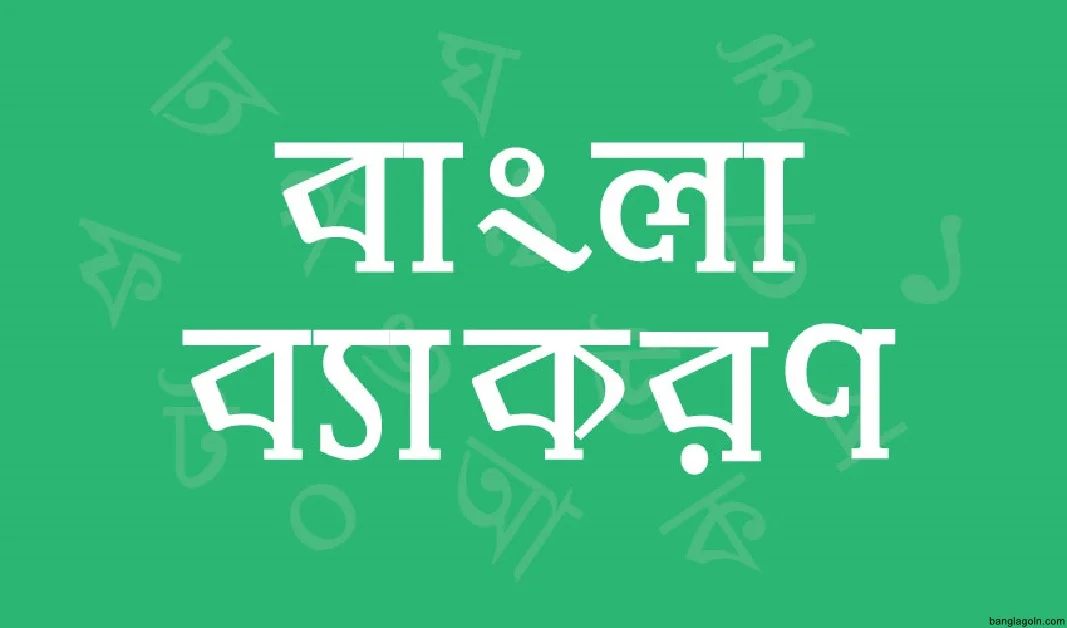 বহুবচন গঠনের নিয়ম ও উদাহরণ
